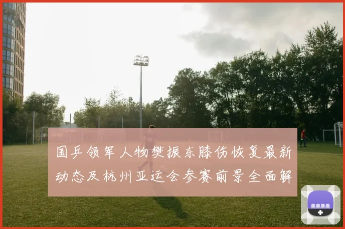 国乒领军人物樊振东膝伤恢复最新动态及杭州亚运会参赛前景全面解析